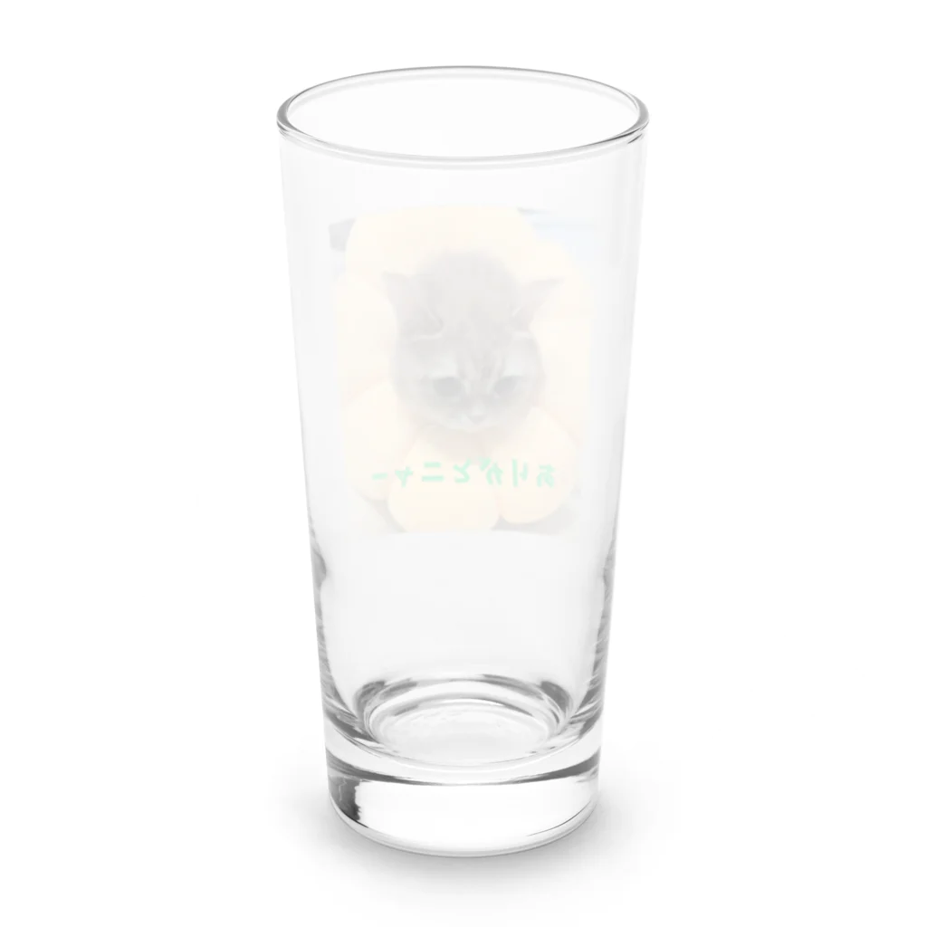 KONEKO_NEKOのありがとニャンコ Long Sized Water Glass :back