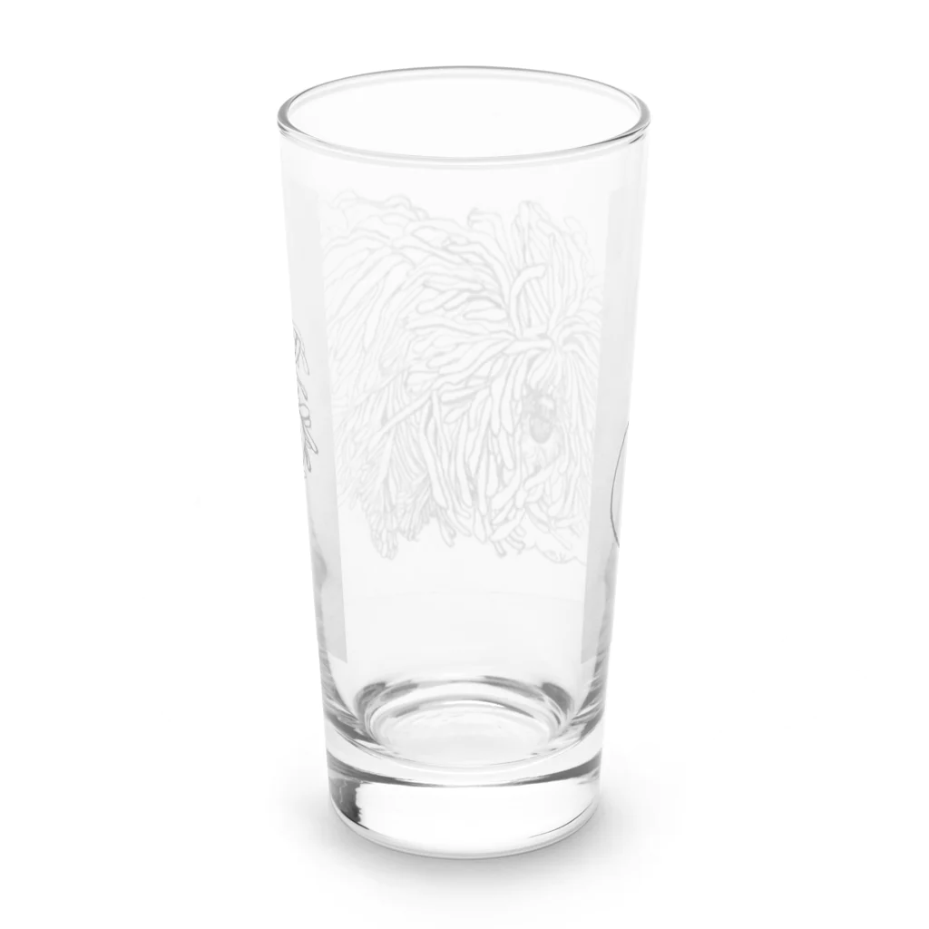 光平洋子のかしこいプーリー犬が転がる。 puli illustration  Long Sized Water Glass :back