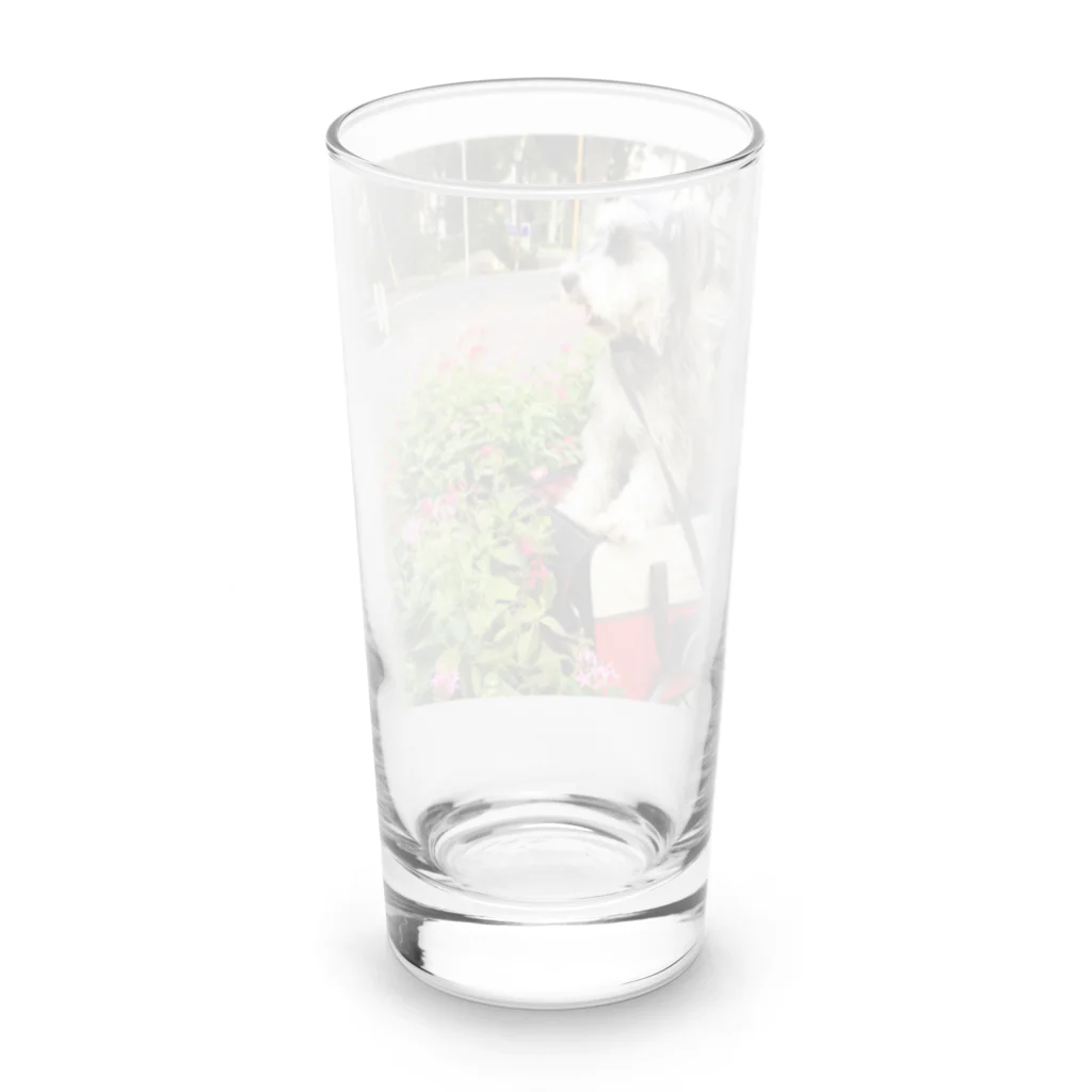 RIKI&MIKIのトランプくん Long Sized Water Glass :back