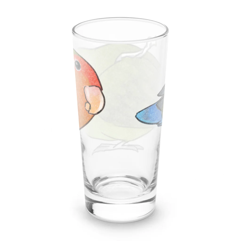 まめるりはことりのおすましコザクラインコ　きなこちゃん【まめるりはことり】 Long Sized Water Glass :back