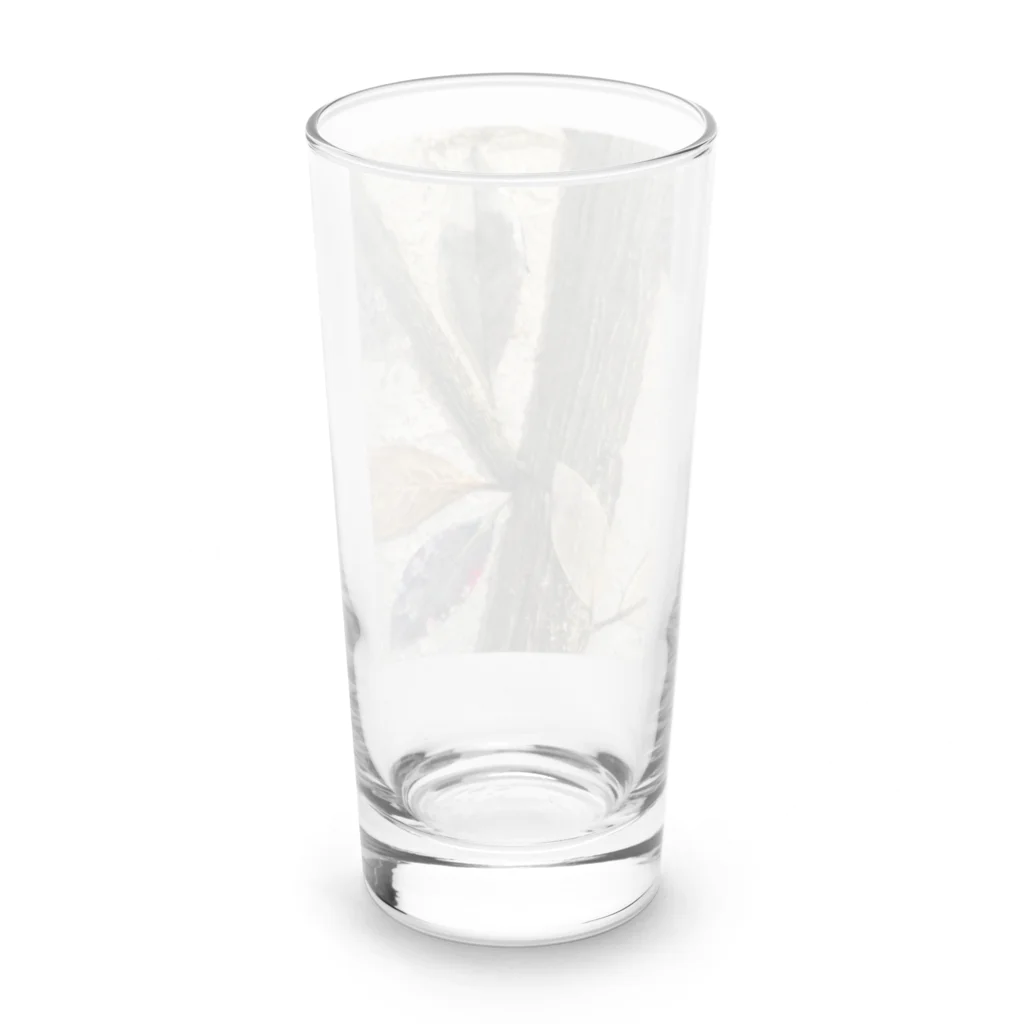 RINA SHOPの葉脈 Long Sized Water Glass :back