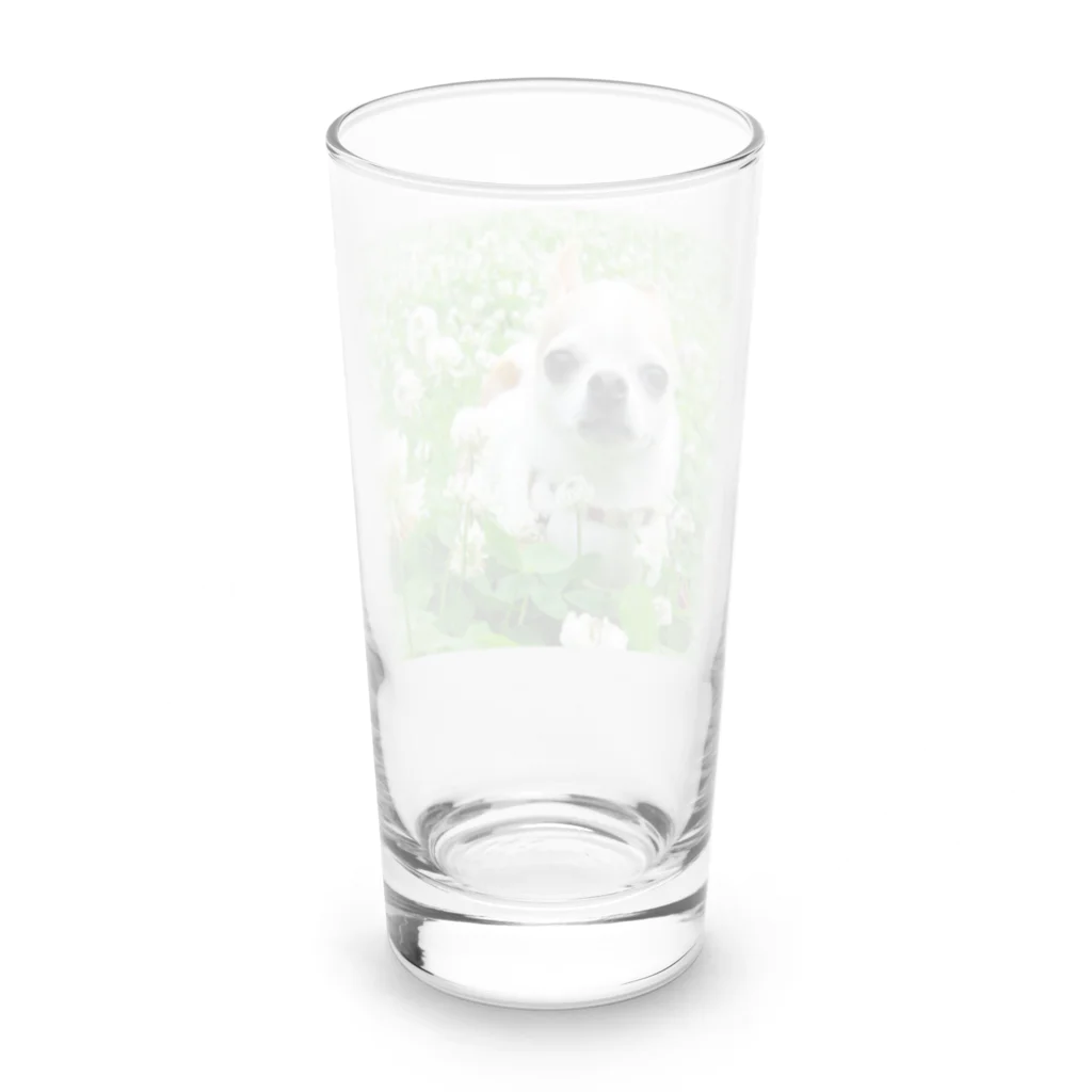 akane_art（茜音工房）のカラフルチワワ（クローバー） Long Sized Water Glass :back