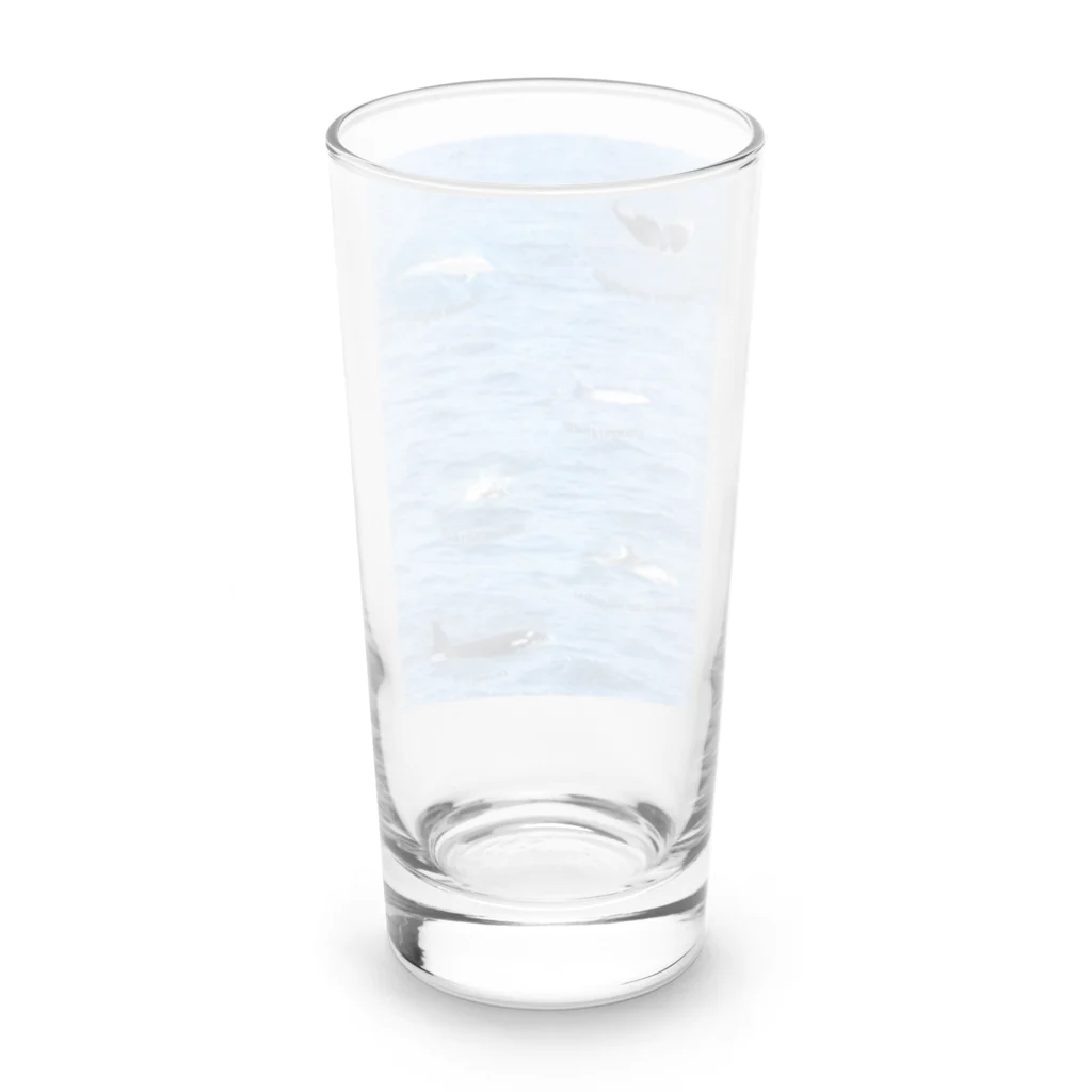 L_arctoaの船上から見た鯨類(1) Long Sized Water Glass :back