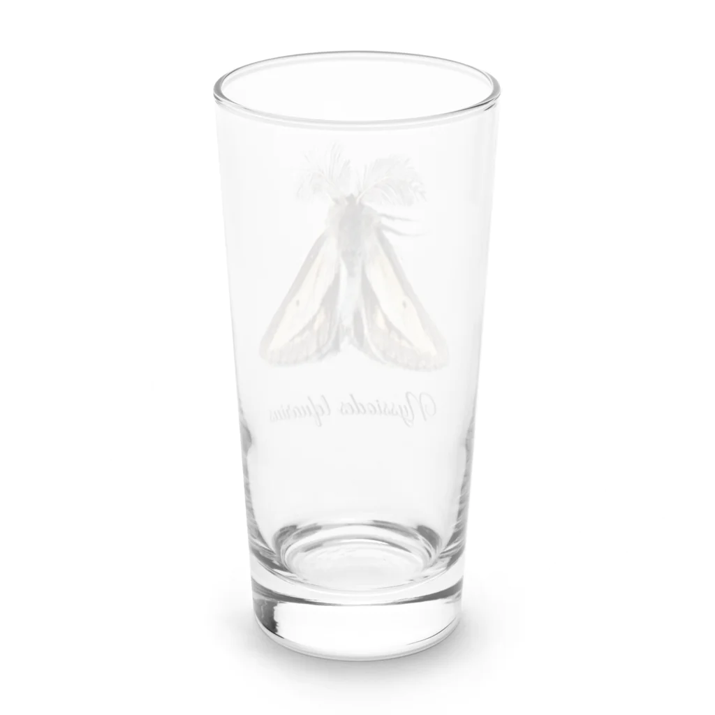 L_arctoaのフチグロトゲエダシャク（学名付き） Long Sized Water Glass :back