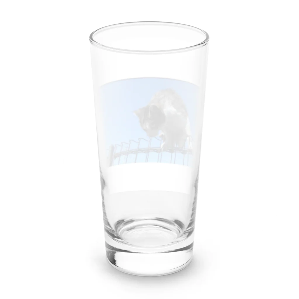 ながしっぽ from.さくらねこの家のながしっぽ　type.C Long Sized Water Glass :back