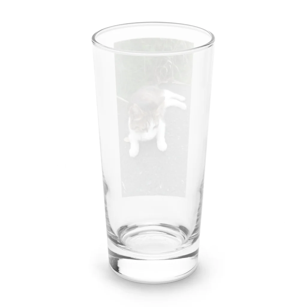 ながしっぽ from.さくらねこの家のながしっぼ　type.F Long Sized Water Glass :back