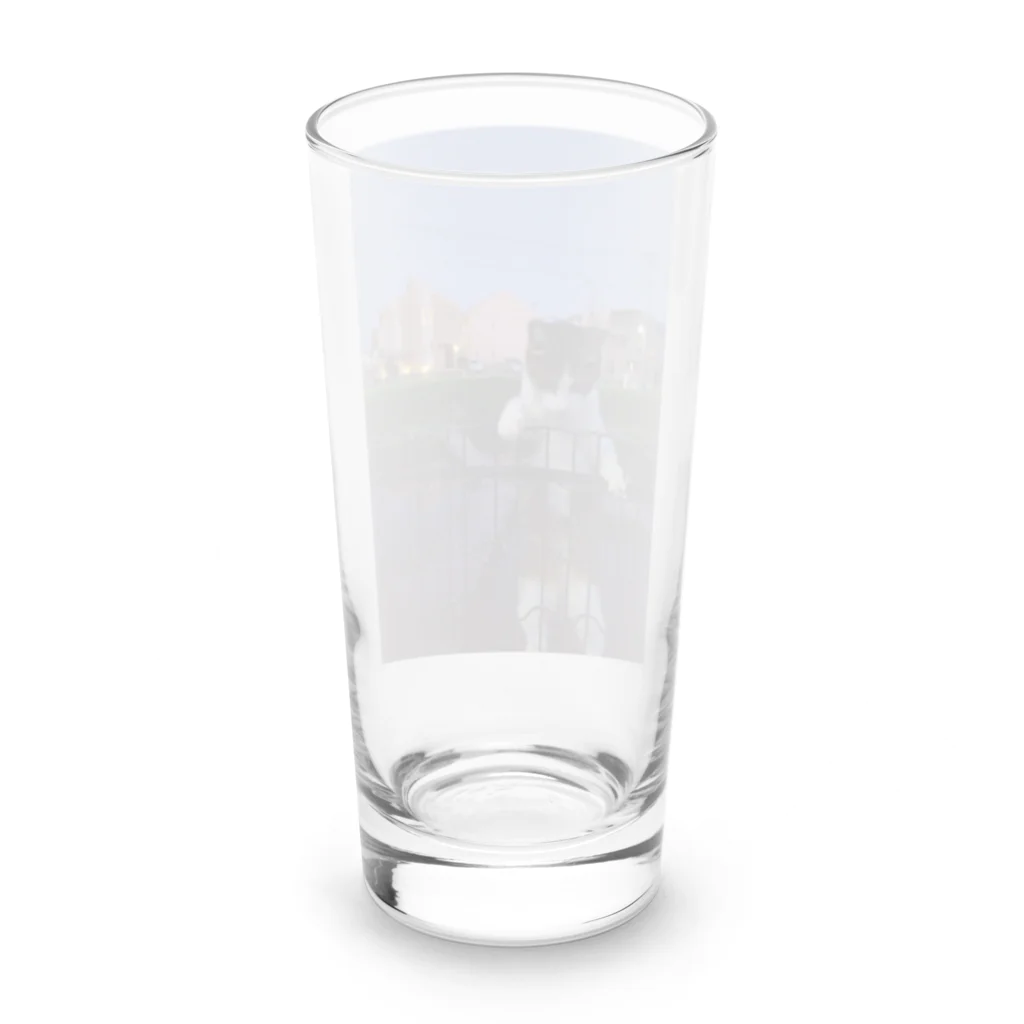 ながしっぽ from.さくらねこの家のながしっぽ　type.H Long Sized Water Glass :back