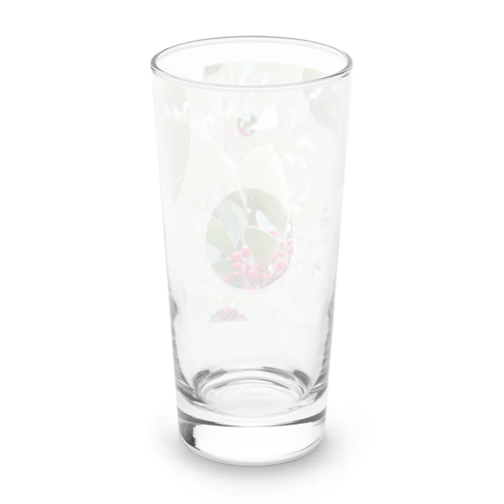 Lily bird（リリーバード）のピラカンサス（？）photo 正方形 Long Sized Water Glass :back