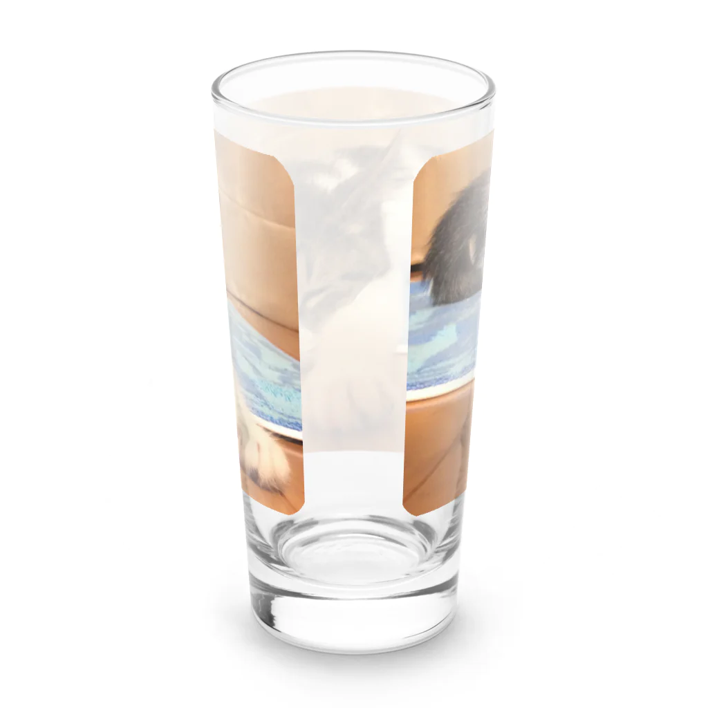 南の島のにゃんこの飛べるポーズで眠るパル～南の島のにゃんこ～ Long Sized Water Glass :back