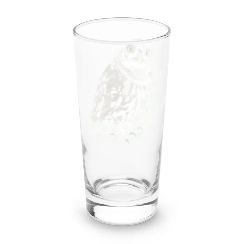 北山紫仙(Shisen's SHOP)のコキンメフクロウさん Long Sized Water Glass :back