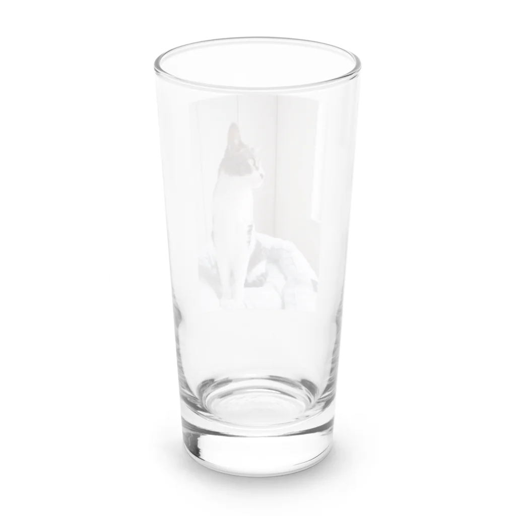 U-nekoの外を眺める Long Sized Water Glass :back