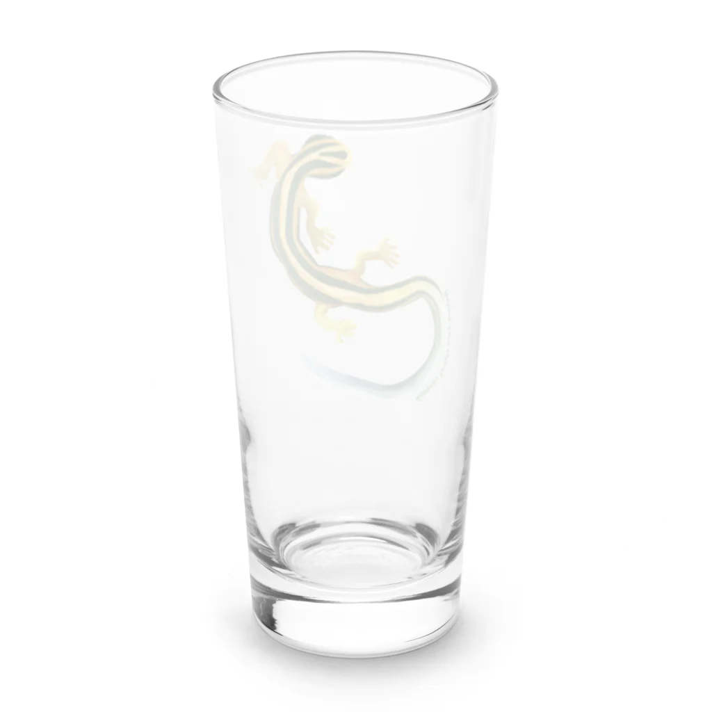 ari designのニホントカゲは無邪気 Long Sized Water Glass :back