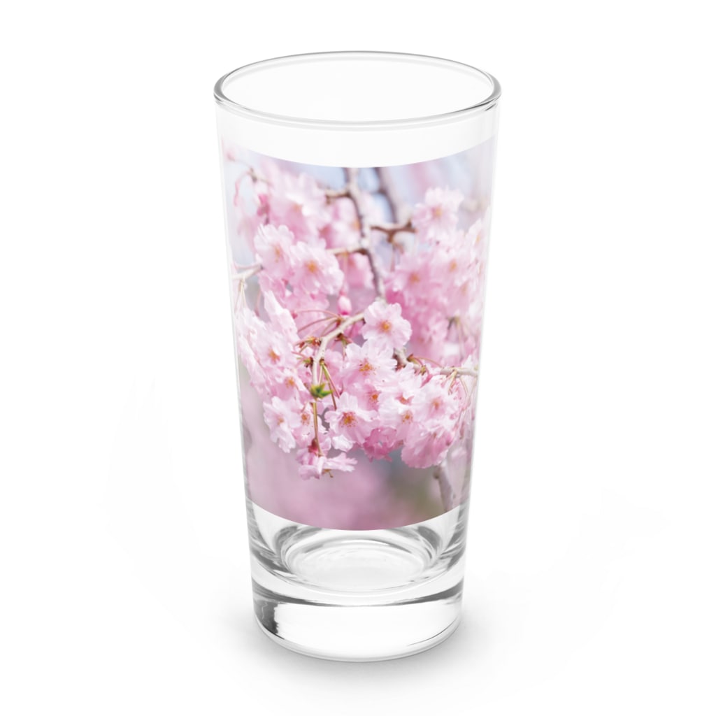 akane_art（茜音工房）の癒しの風景（八重桜） Long Sized Water Glass :front
