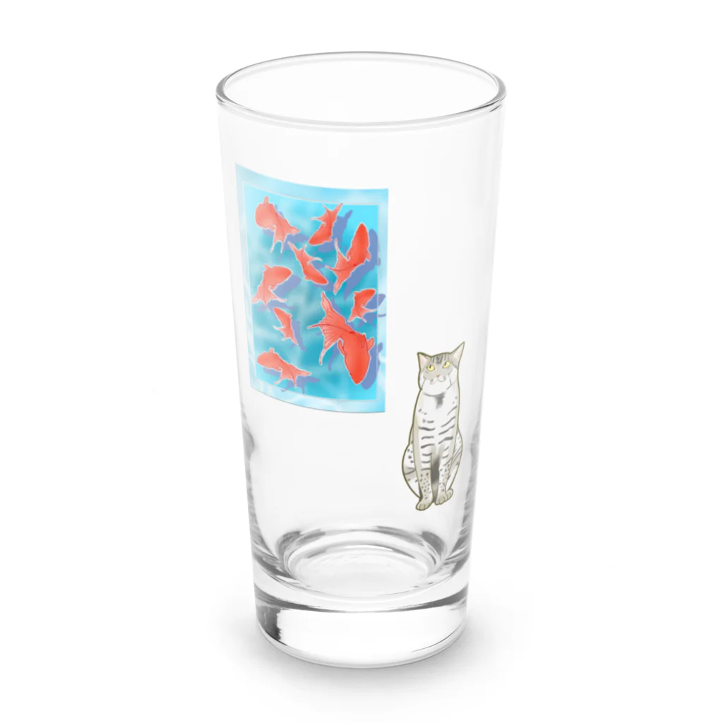 いろはにゃんこ堂の金魚をガン見するスナドリネコさん Long Sized Water Glass :front