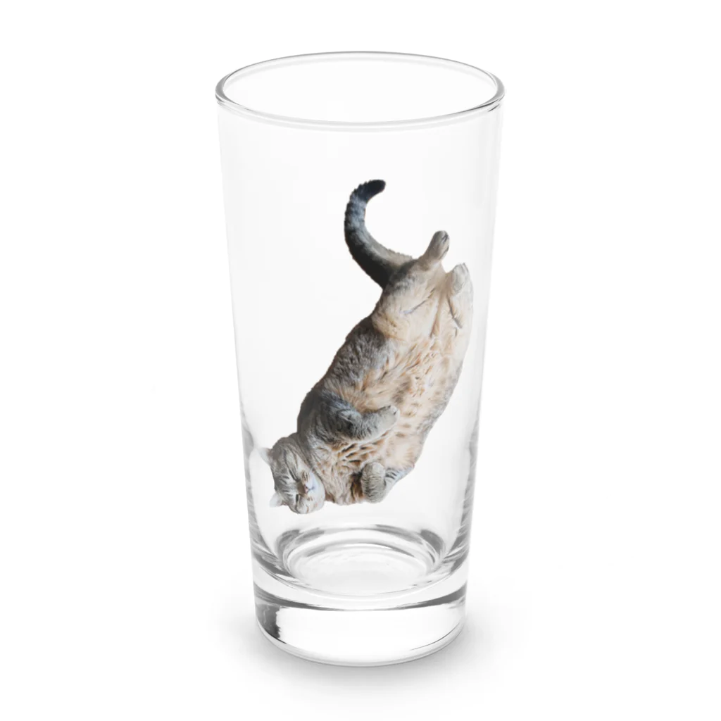 城の3月17日の落ちてる猫です Long Sized Water Glass :front