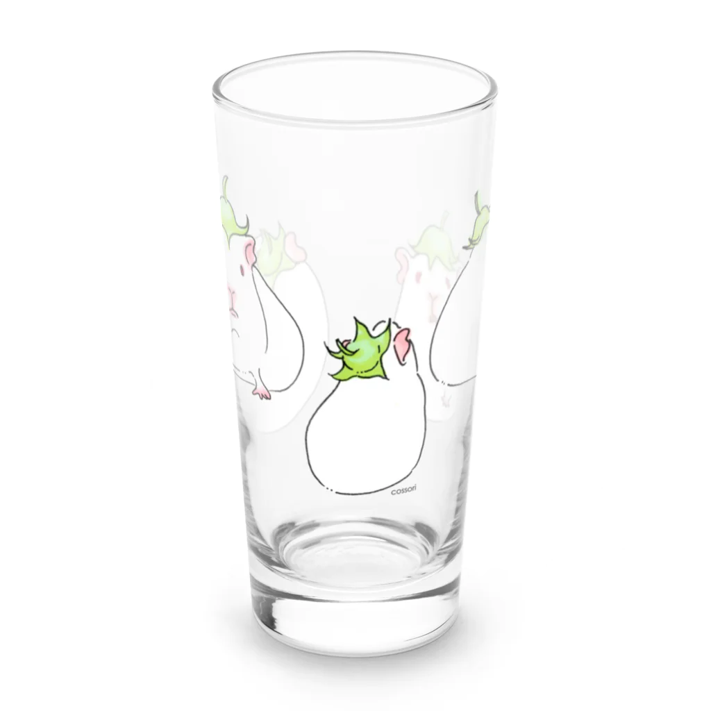 cossoriのナスモル Long Sized Water Glass :front