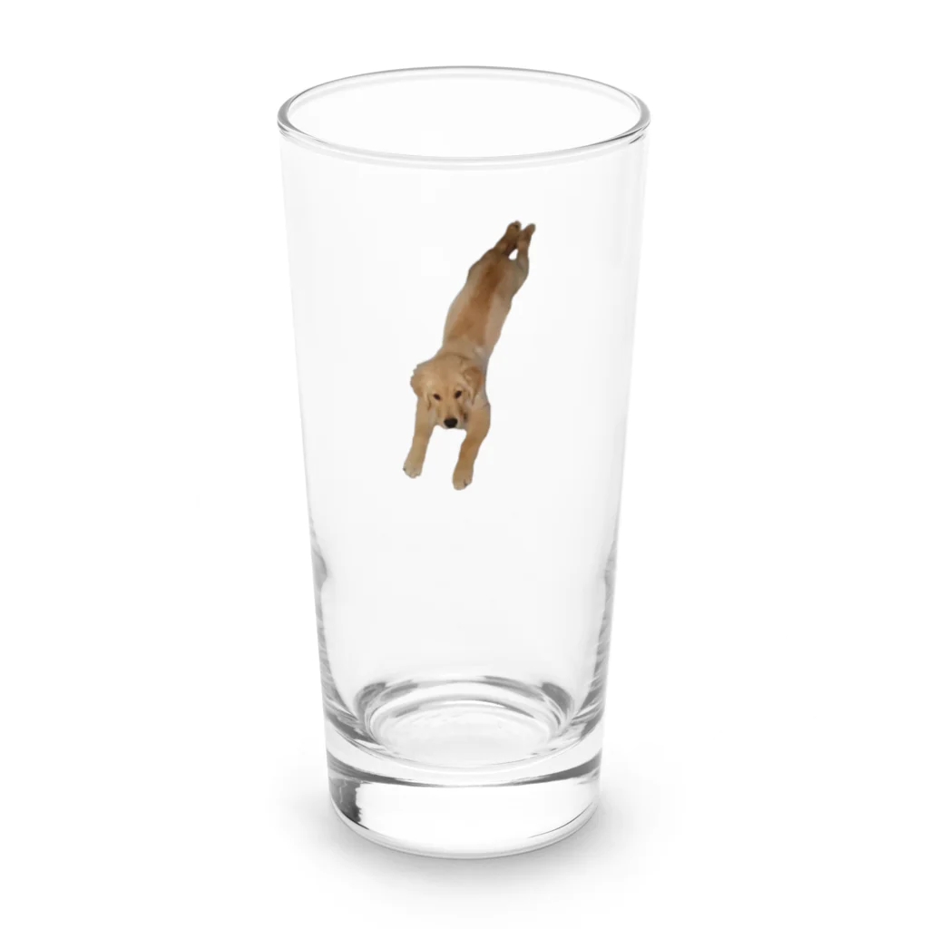tanikumama_yの飛び込むゴールデン・レトリーバー(子犬) Long Sized Water Glass :front