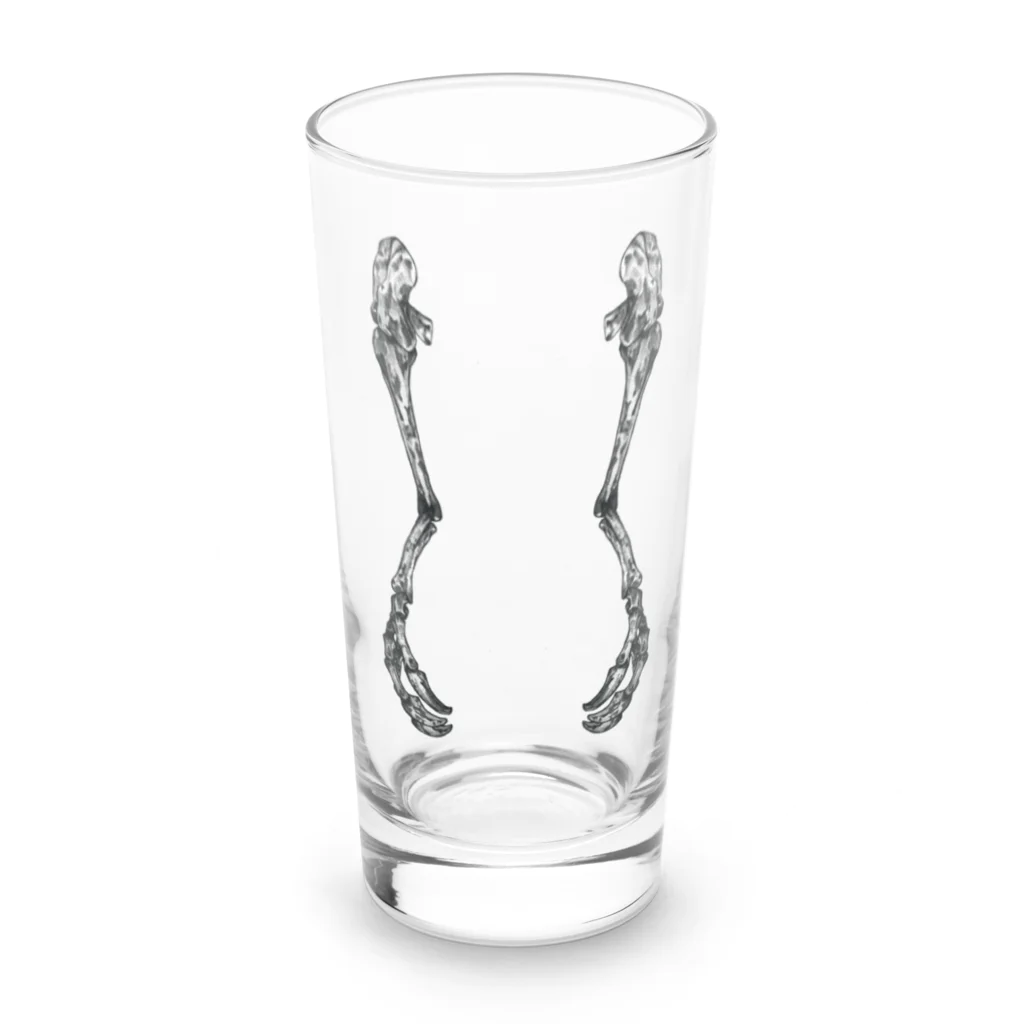 HelicoprionDesign（ヘリコプリオン デザイン）のデイノケイルスの腕化石 Long Sized Water Glass :front