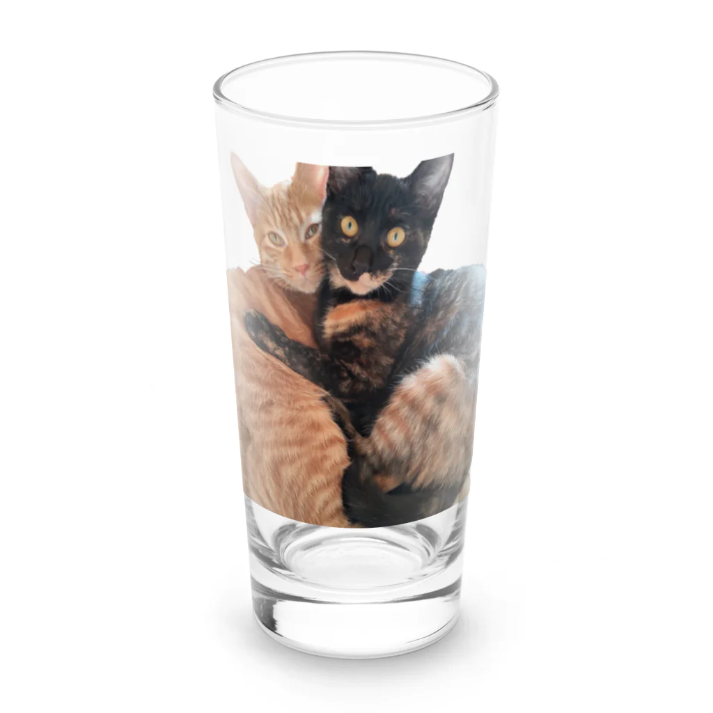 結社黒猫の猫LOVE Long Sized Water Glass :front