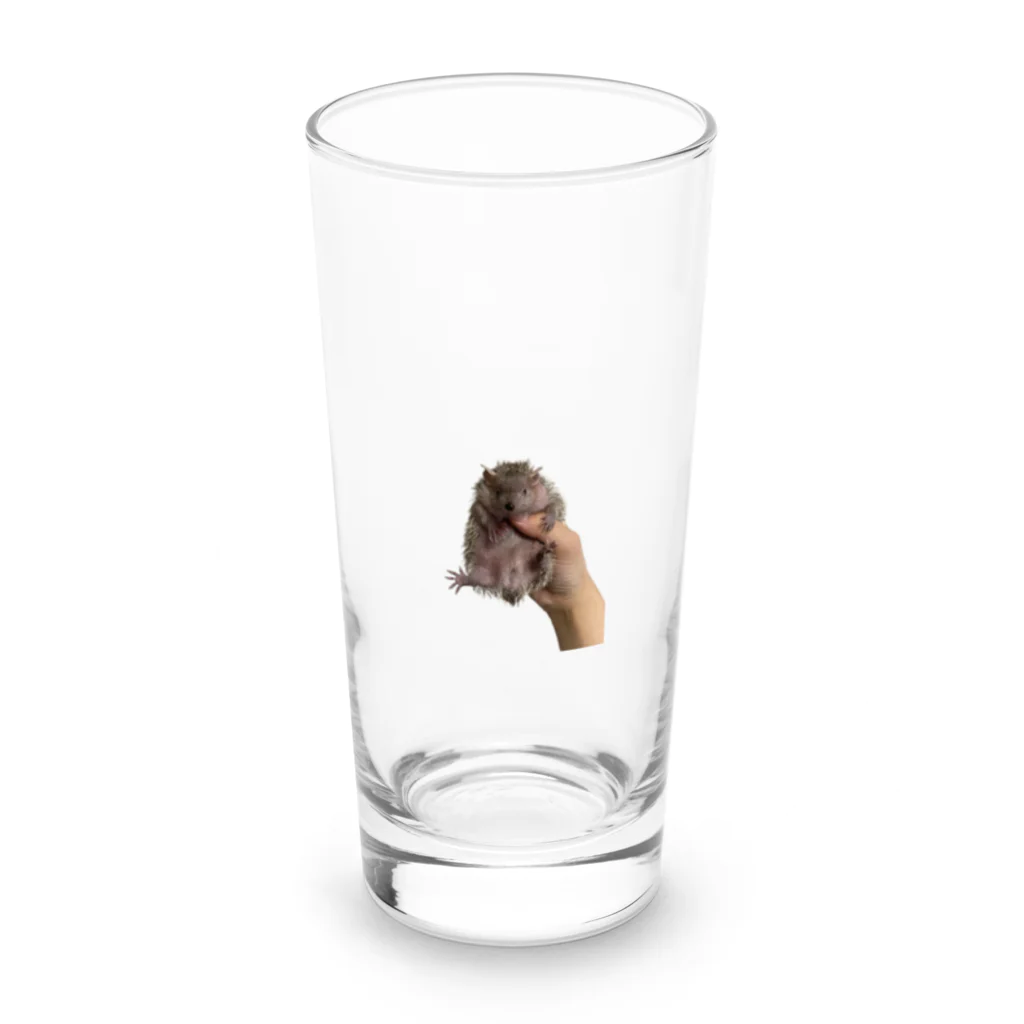 杏仁豆腐のヒメハリテンレックのココちゃん Long Sized Water Glass :front