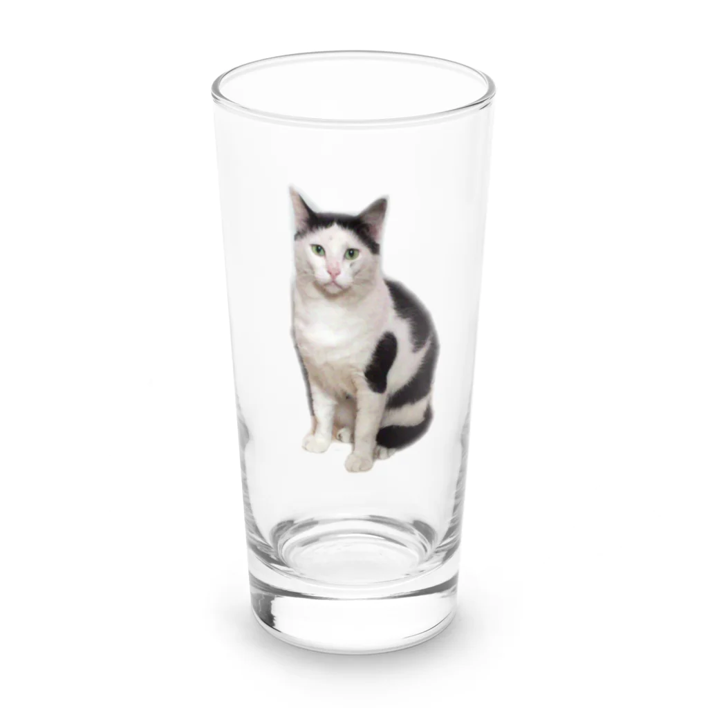 みいた君とみいと君😊仲良し兄弟のヅラにゃんこ Long Sized Water Glass :front