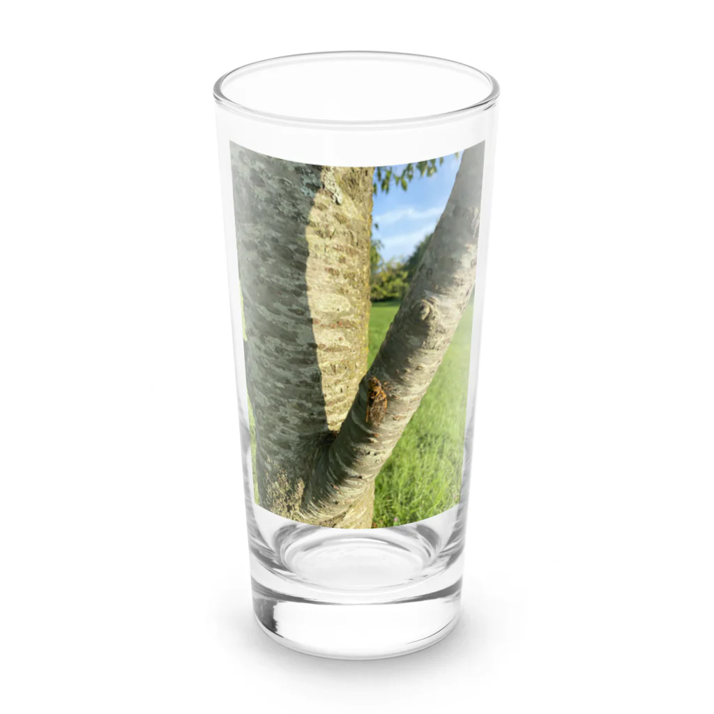 HIROMI10のニイニイゼミ Long Sized Water Glass :front