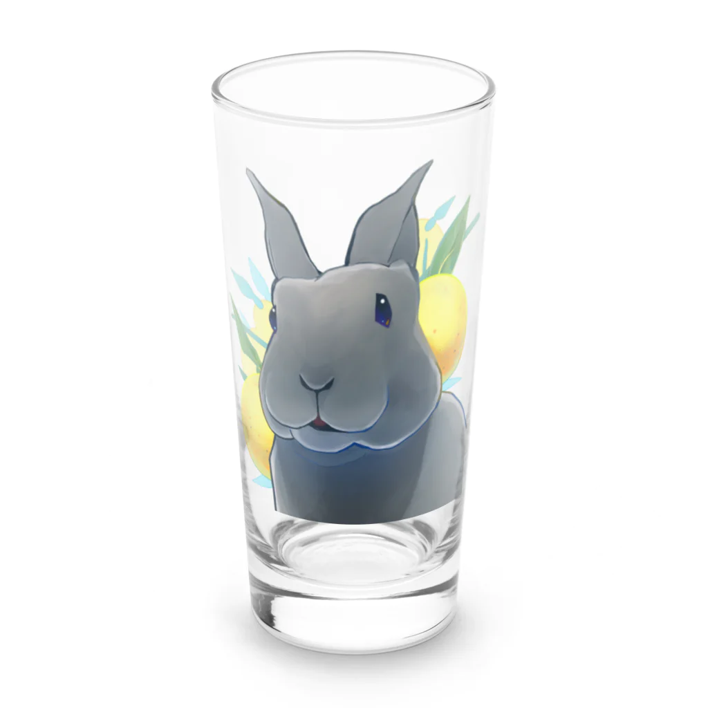 Mountain-and-Valleyのミニレッキスのゆずくん Long Sized Water Glass :front