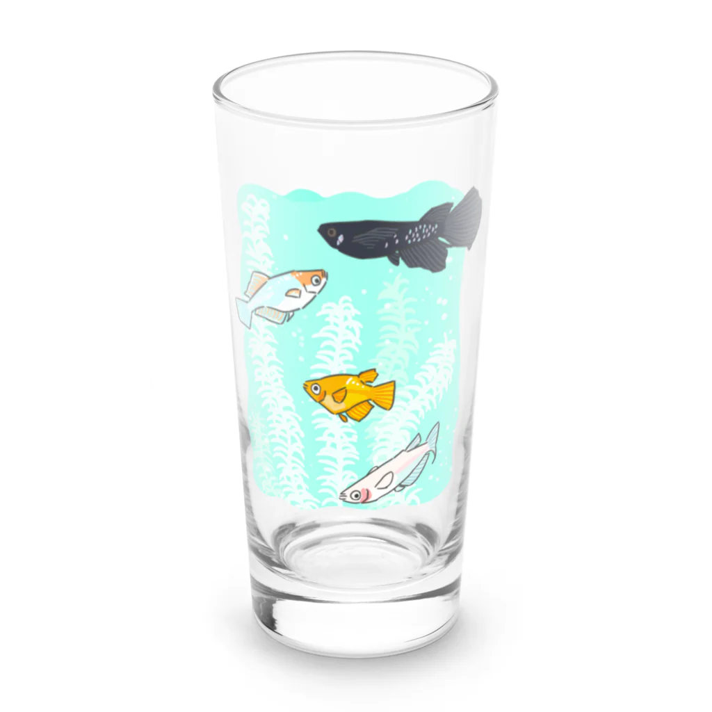 ビィチGYOGYOのメダカ　B01 Long Sized Water Glass :front