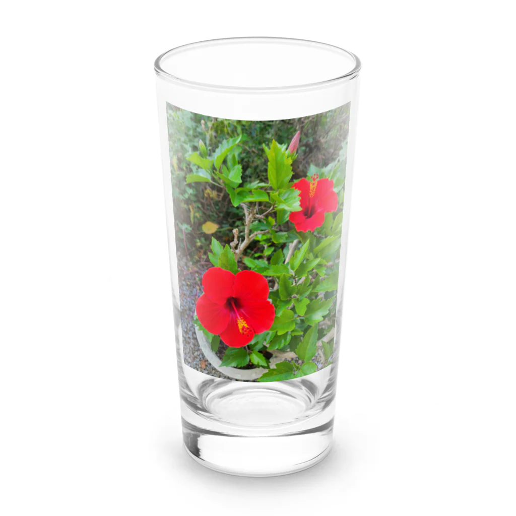 東綬のハイビスカス🌺ペア Long Sized Water Glass :front