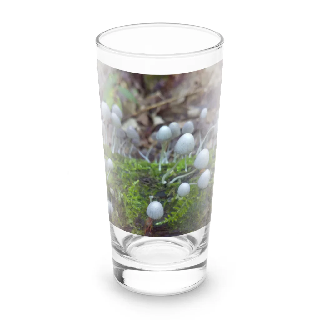 ミクロの不思議の国のキノコちゃん Long Sized Water Glass :front