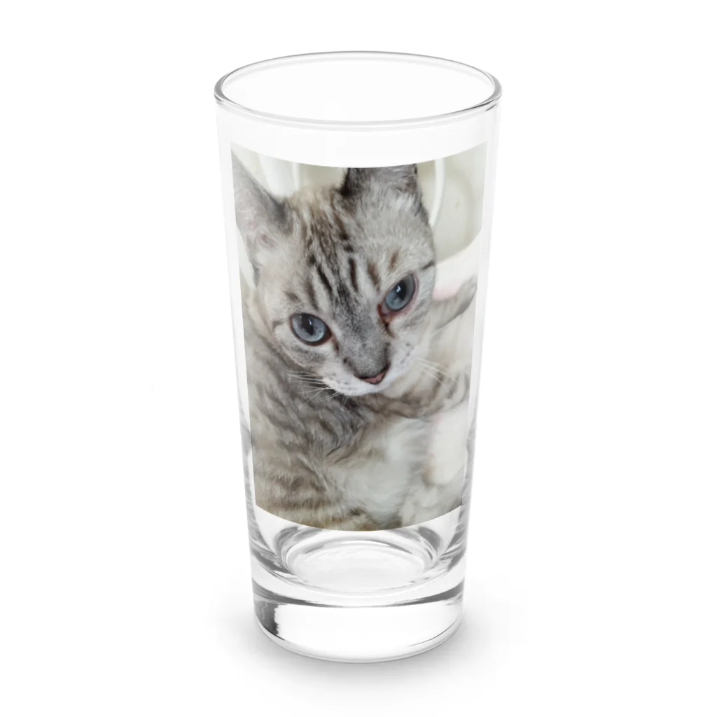 ねこの森でお散歩のフッワフワのシャムミックス Long Sized Water Glass :front