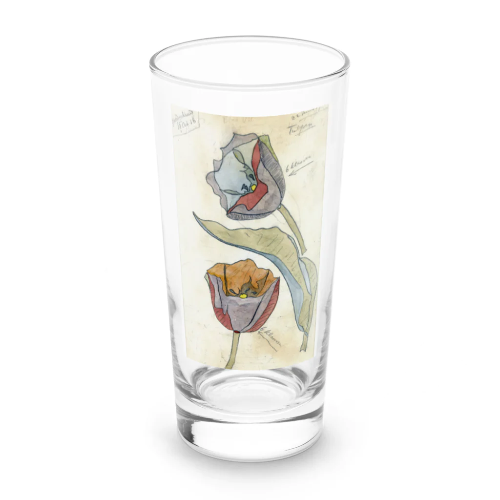 PALA's SHOP　cool、シュール、古風、和風、のTulips, Theo Colenbrander, 1917 Long Sized Water Glass :front