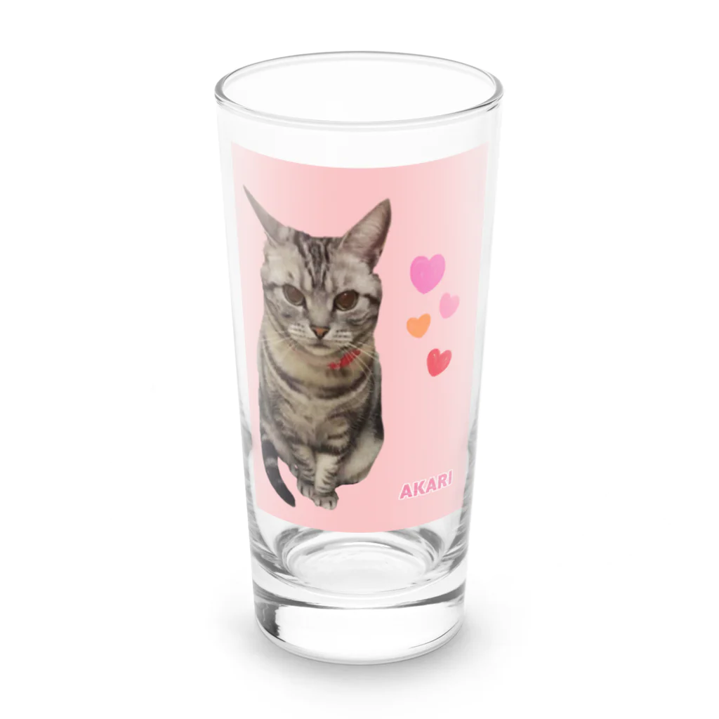 harupink🌸ペット似顔絵illustのアメショのアカリちゃん(REALver) Long Sized Water Glass :front