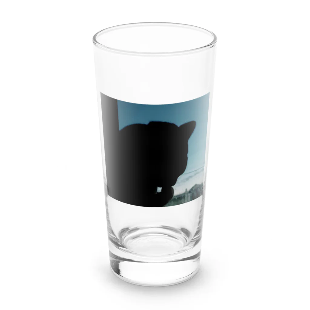 茶色三毛猫ルームの夕方の三毛猫の影 Long Sized Water Glass :front