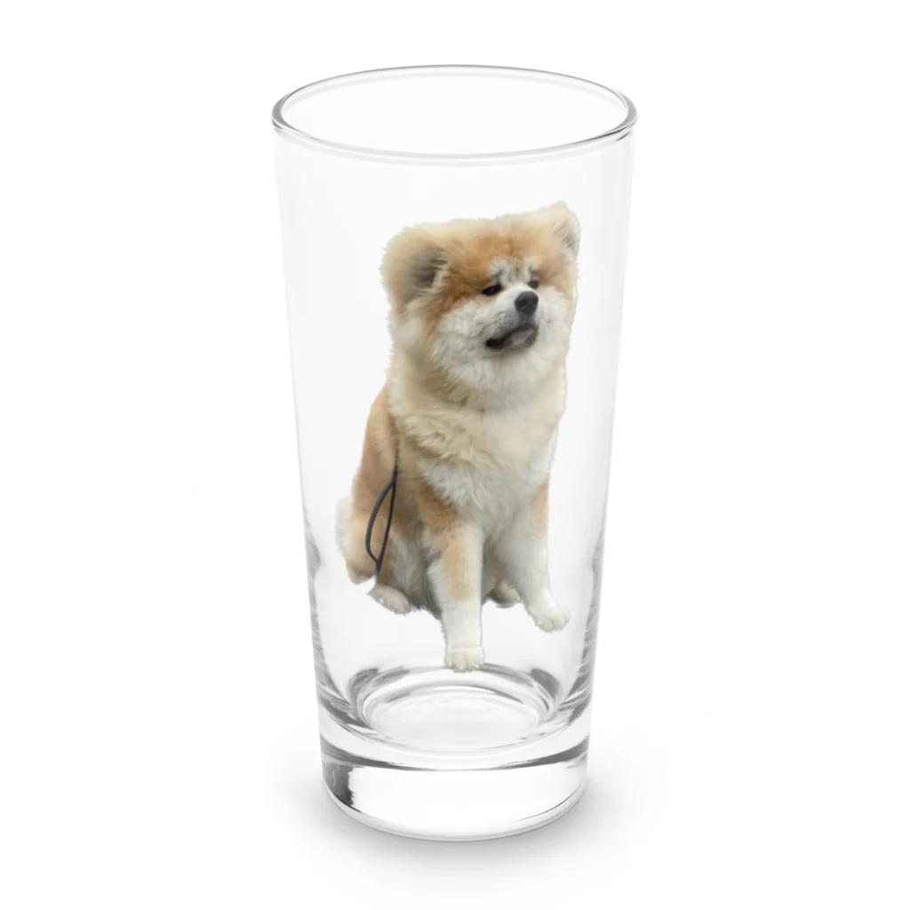 長毛秋田犬ししまるのししまるロンググラス Long Sized Water Glass :front