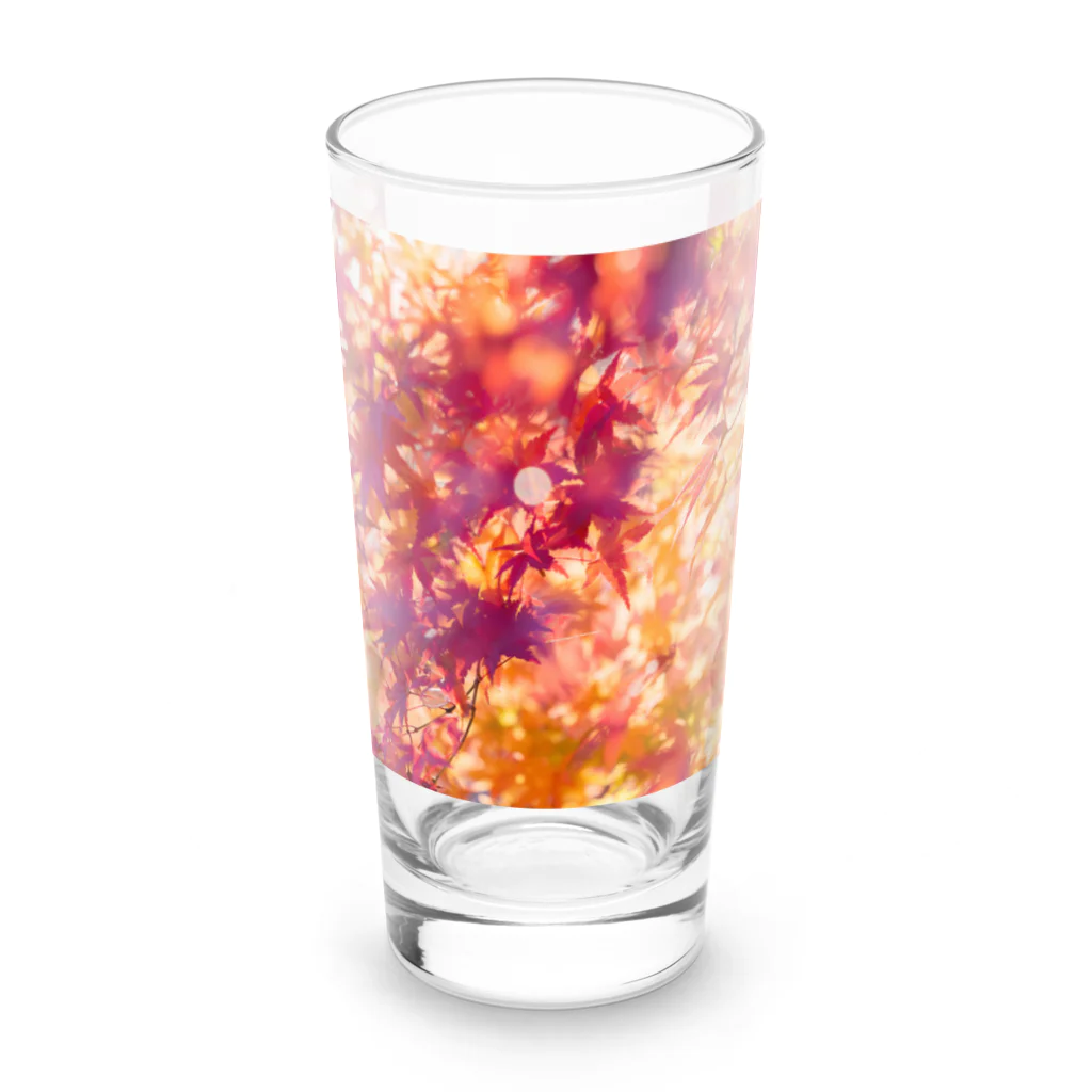 最終進化的量産型良のオレンジノコウヨウ Long Sized Water Glass :front