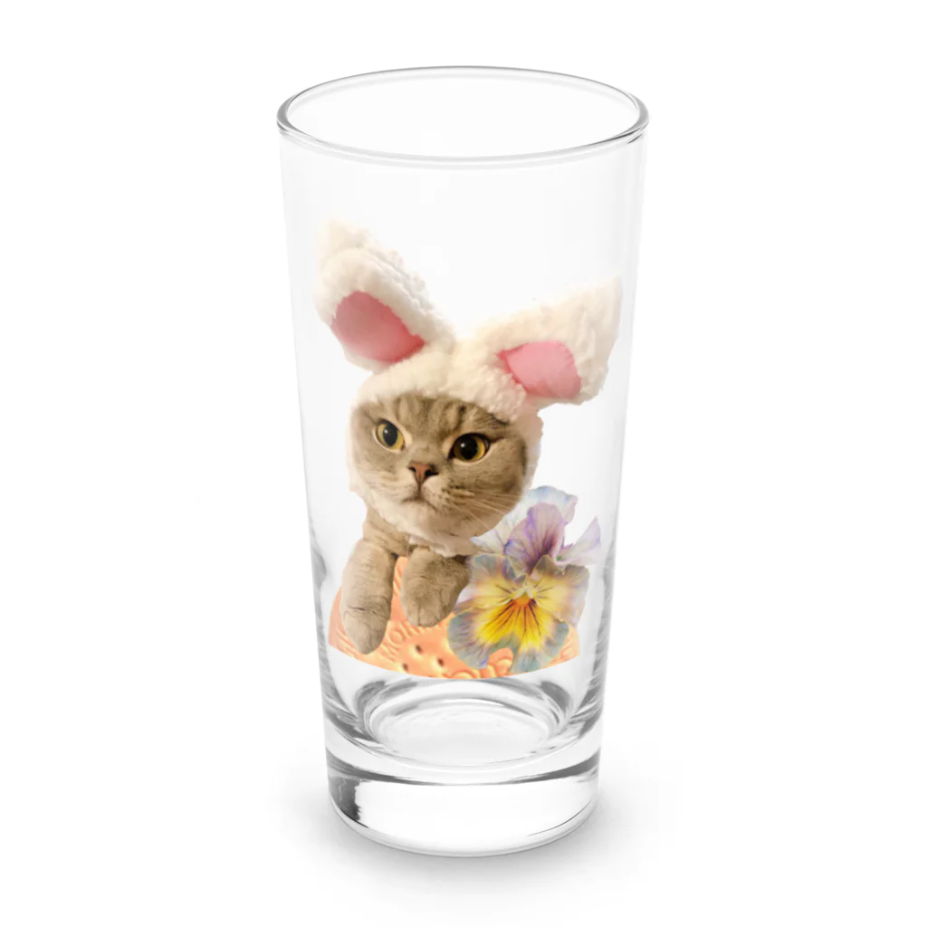 sumire-britishのうさねこ Long Sized Water Glass :front