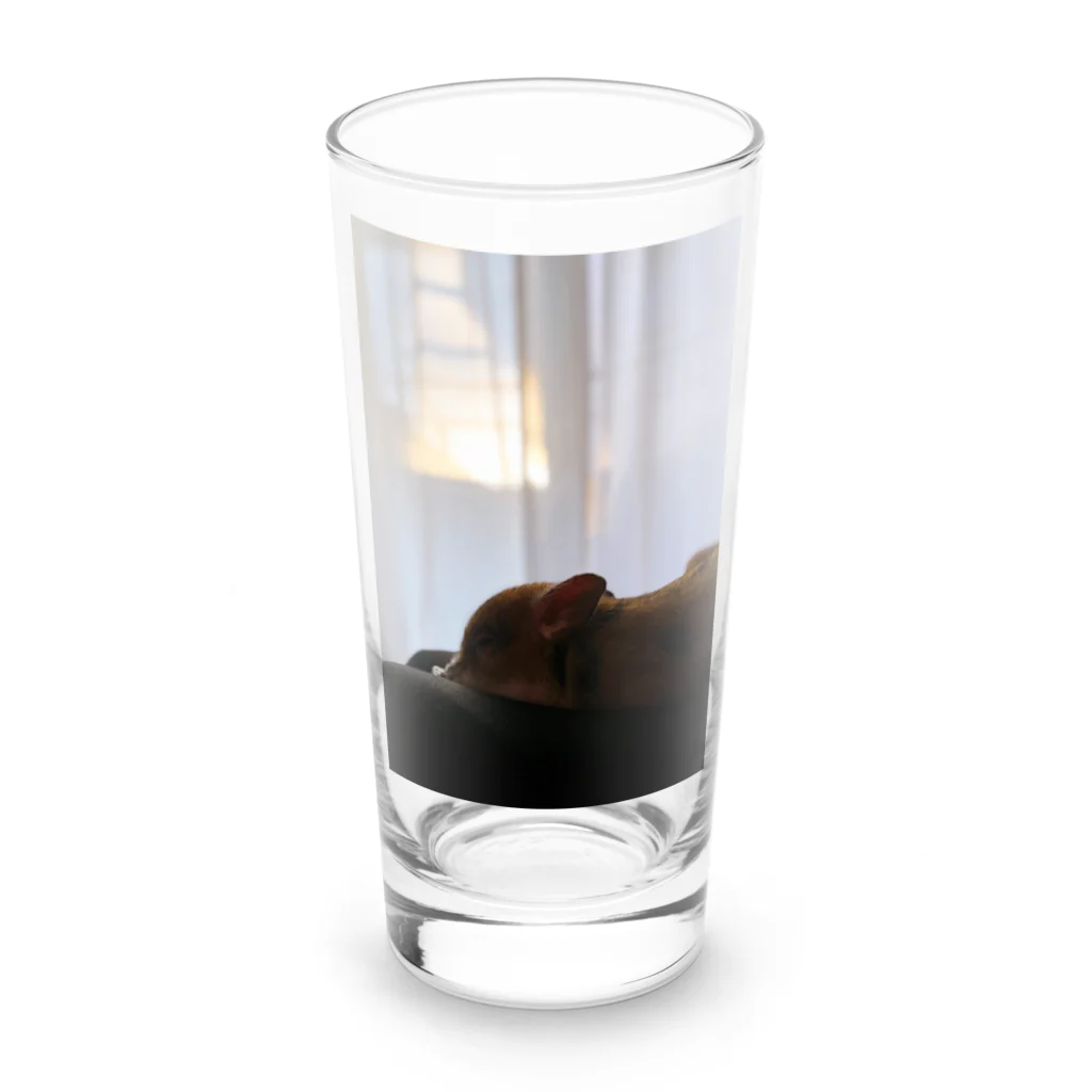 マイクロブタのフィグの横顔と夕陽 Long Sized Water Glass :front