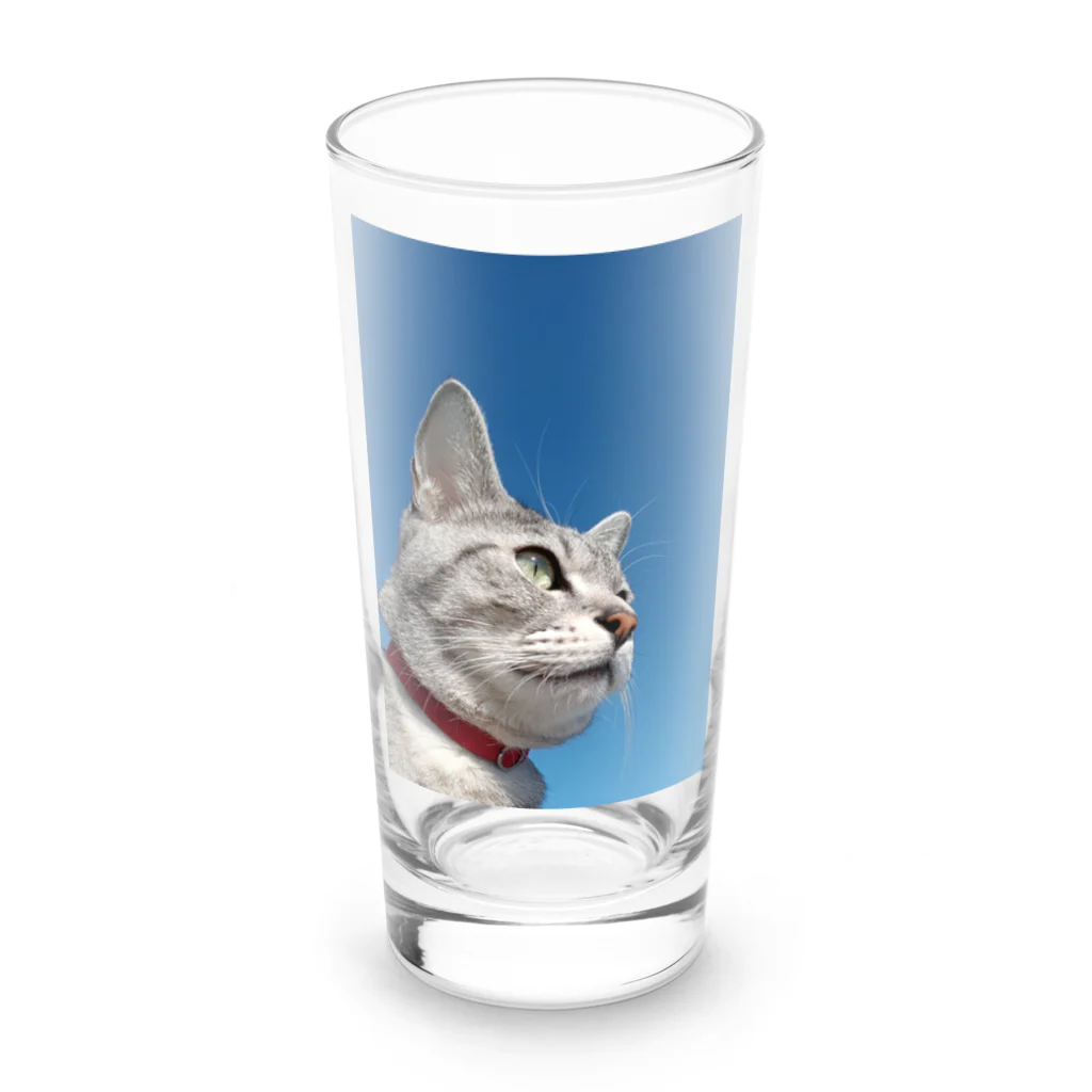 棕櫚竹工房の青空にゃんこ Long Sized Water Glass :front