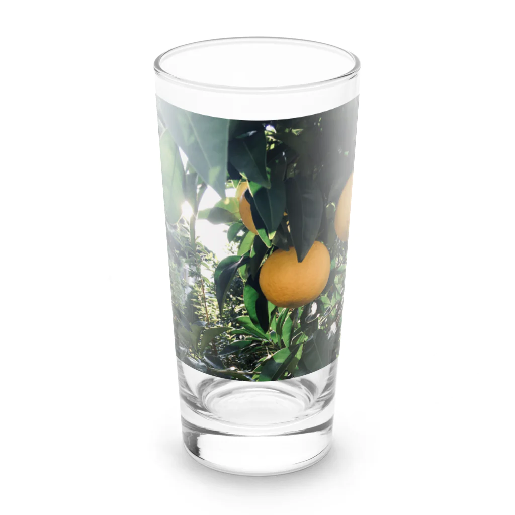 どーなつの柑橘系 Long Sized Water Glass :front