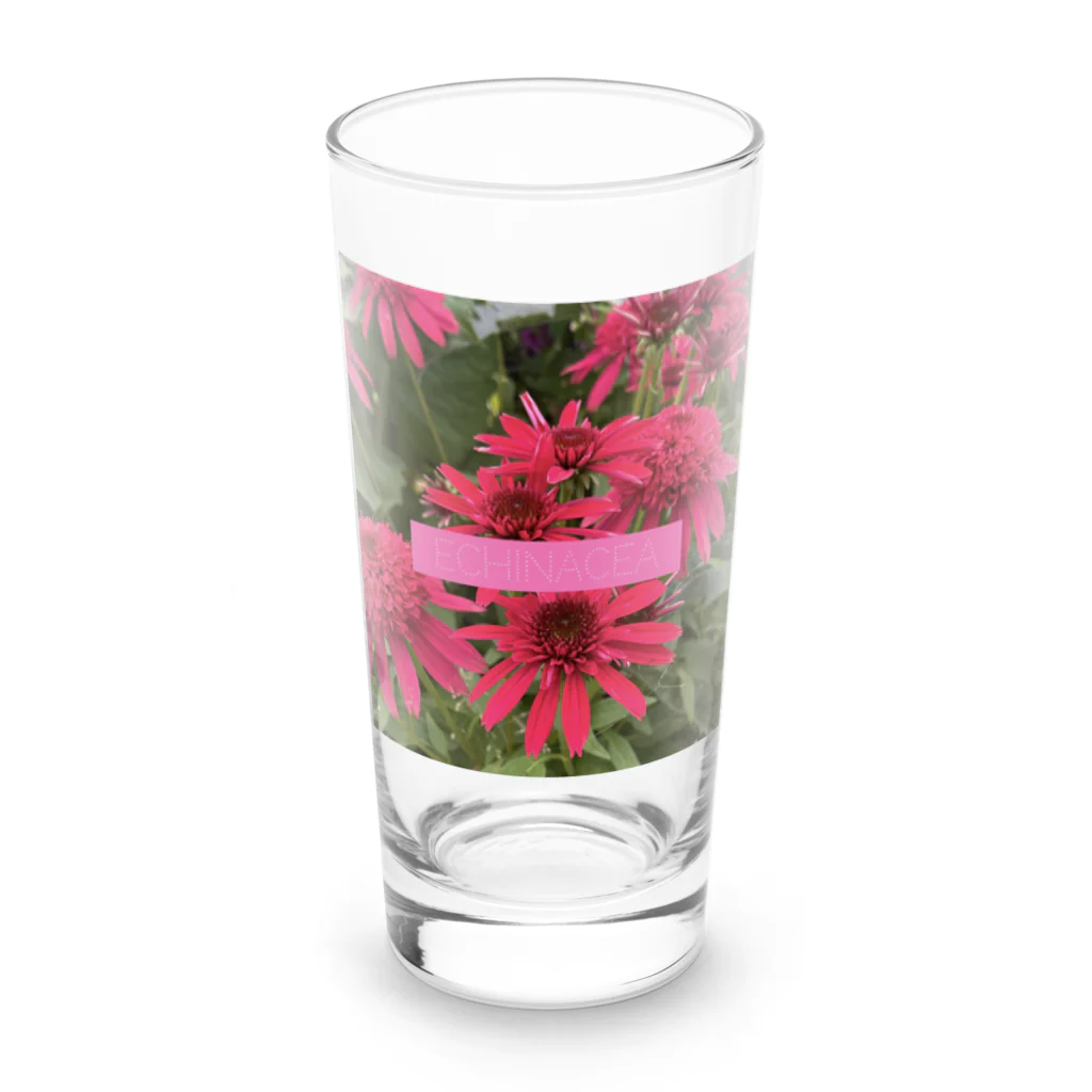 Scented Gardenのエキナセア Long Sized Water Glass :front