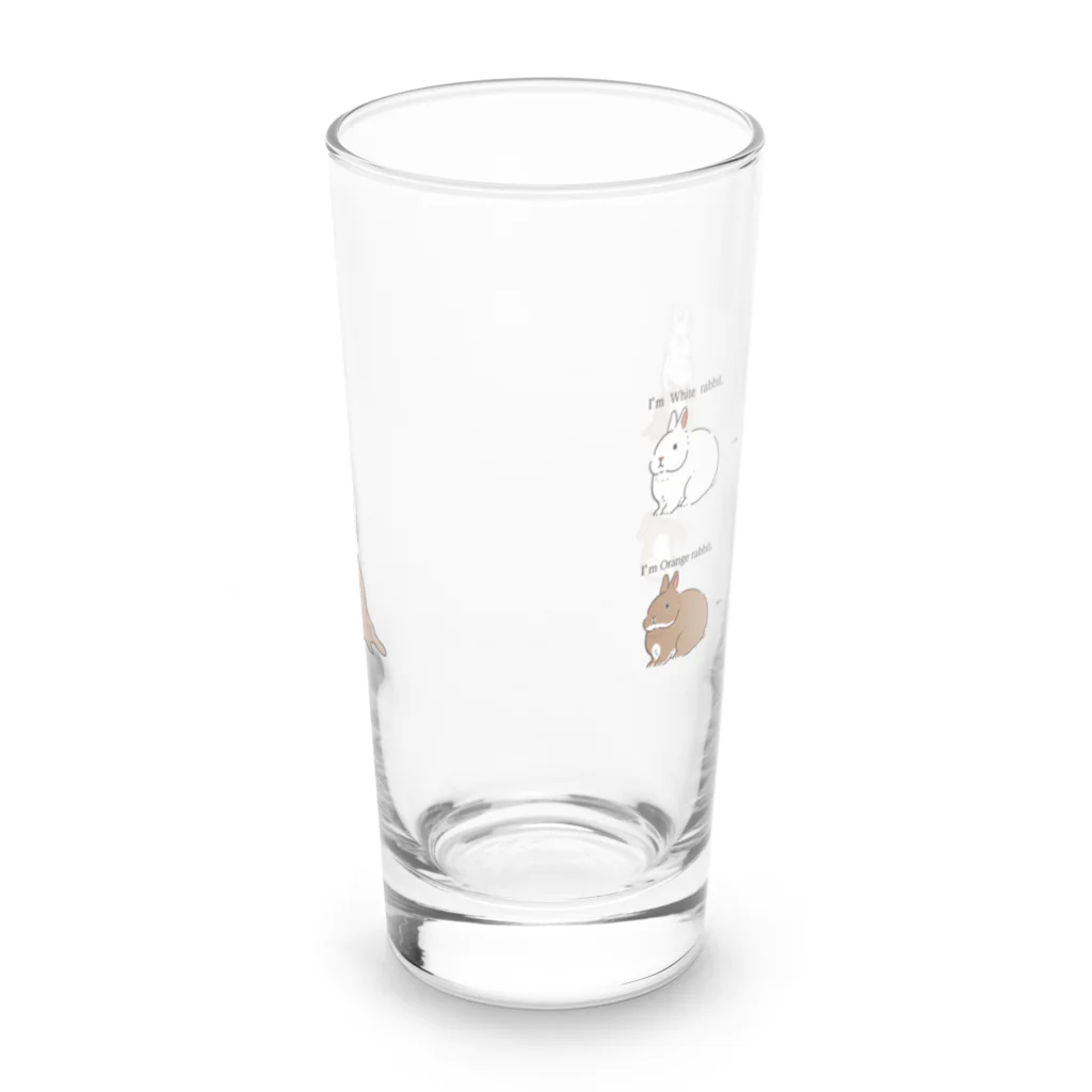 スタジオレッキスの白うさぎからオレンジうさぎに変身！ Long Sized Water Glass :front