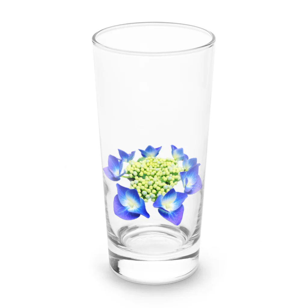 acobi'sの紫陽花 Long Sized Water Glass :front