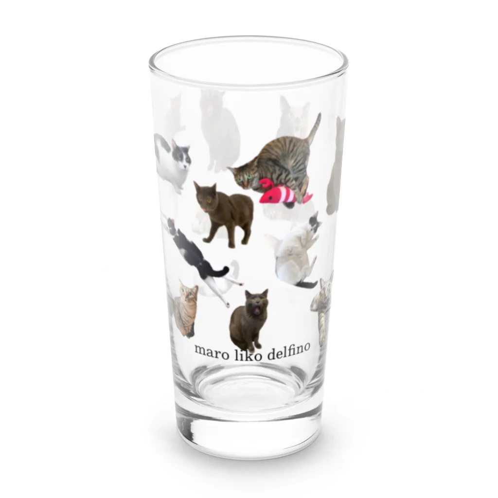 愛猫家のマロリコデルフィーノ Long Sized Water Glass :front