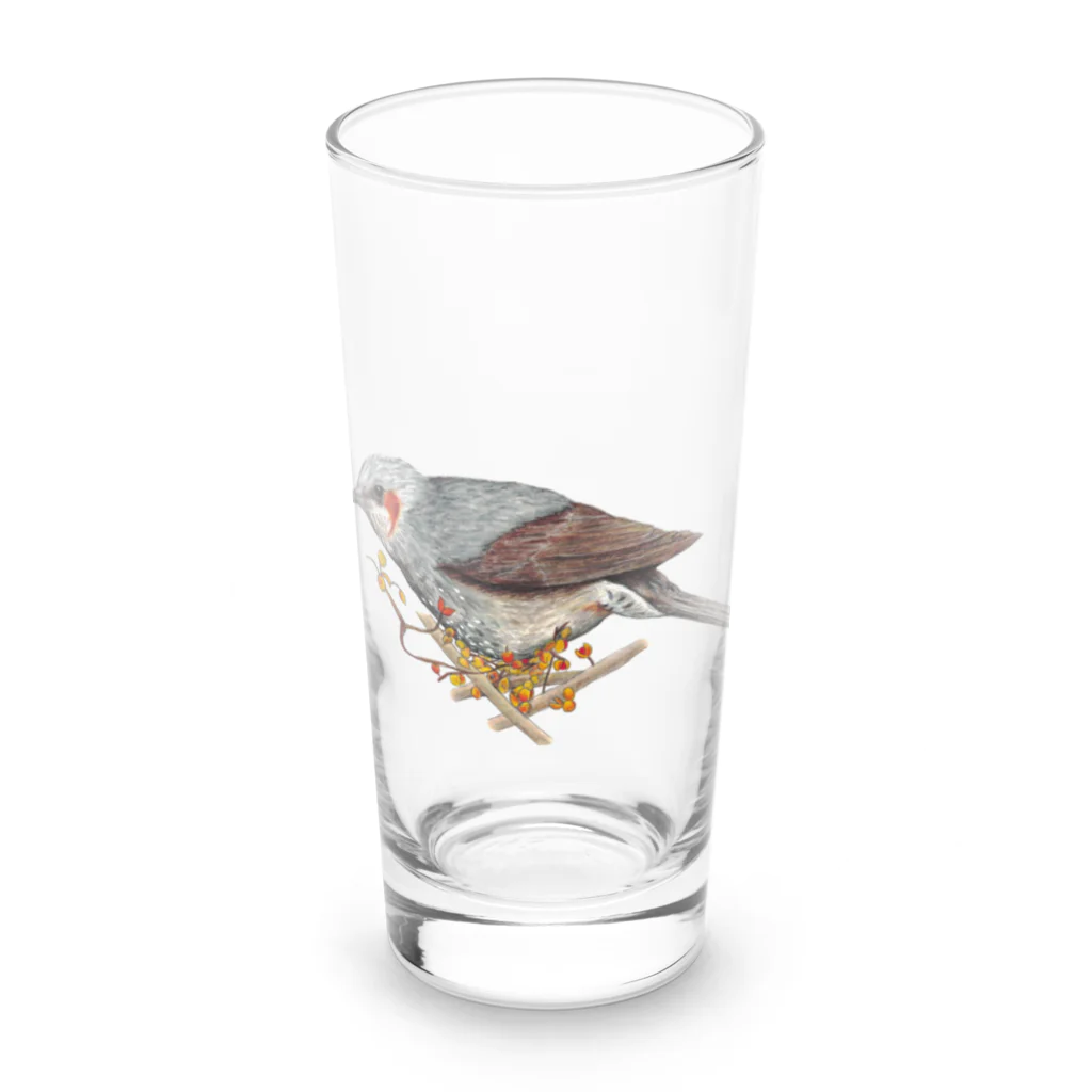 森図鑑の[森図鑑] ヒヨドリとツルウメモドキ Long Sized Water Glass :front