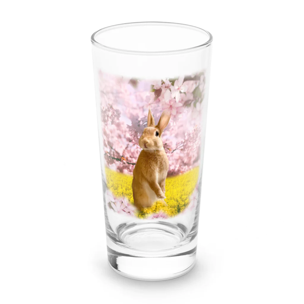 うさぎのうみちゃんねるショップのお花見うさぎ-うさぎのうみ Long Sized Water Glass :front