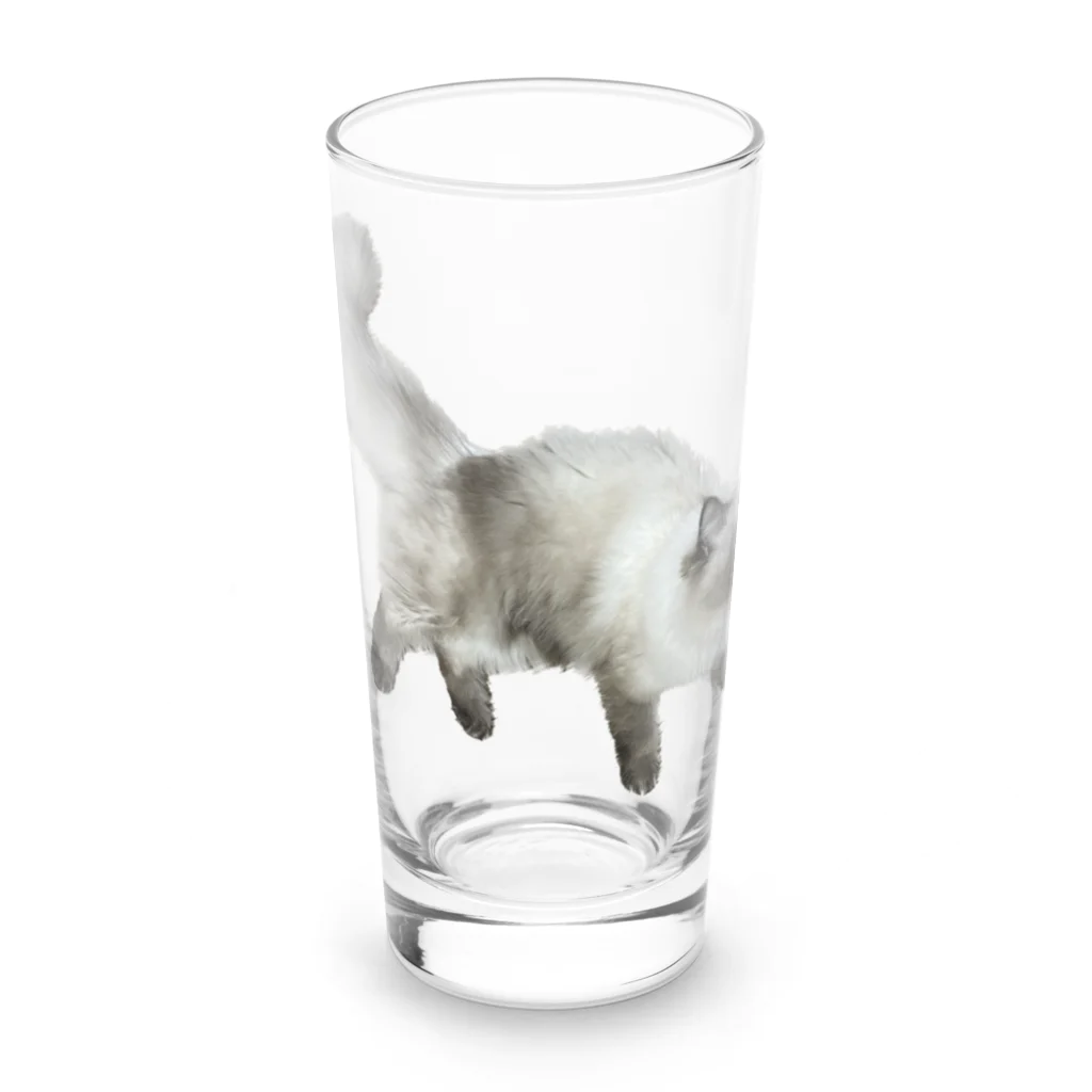 おだいのヴァルキリー Long Sized Water Glass :front