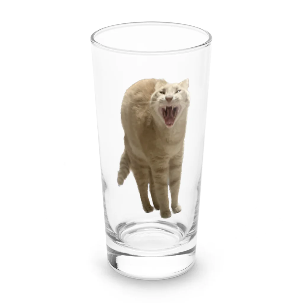 茶トラねこずのあくび猫のシロ Long Sized Water Glass :front