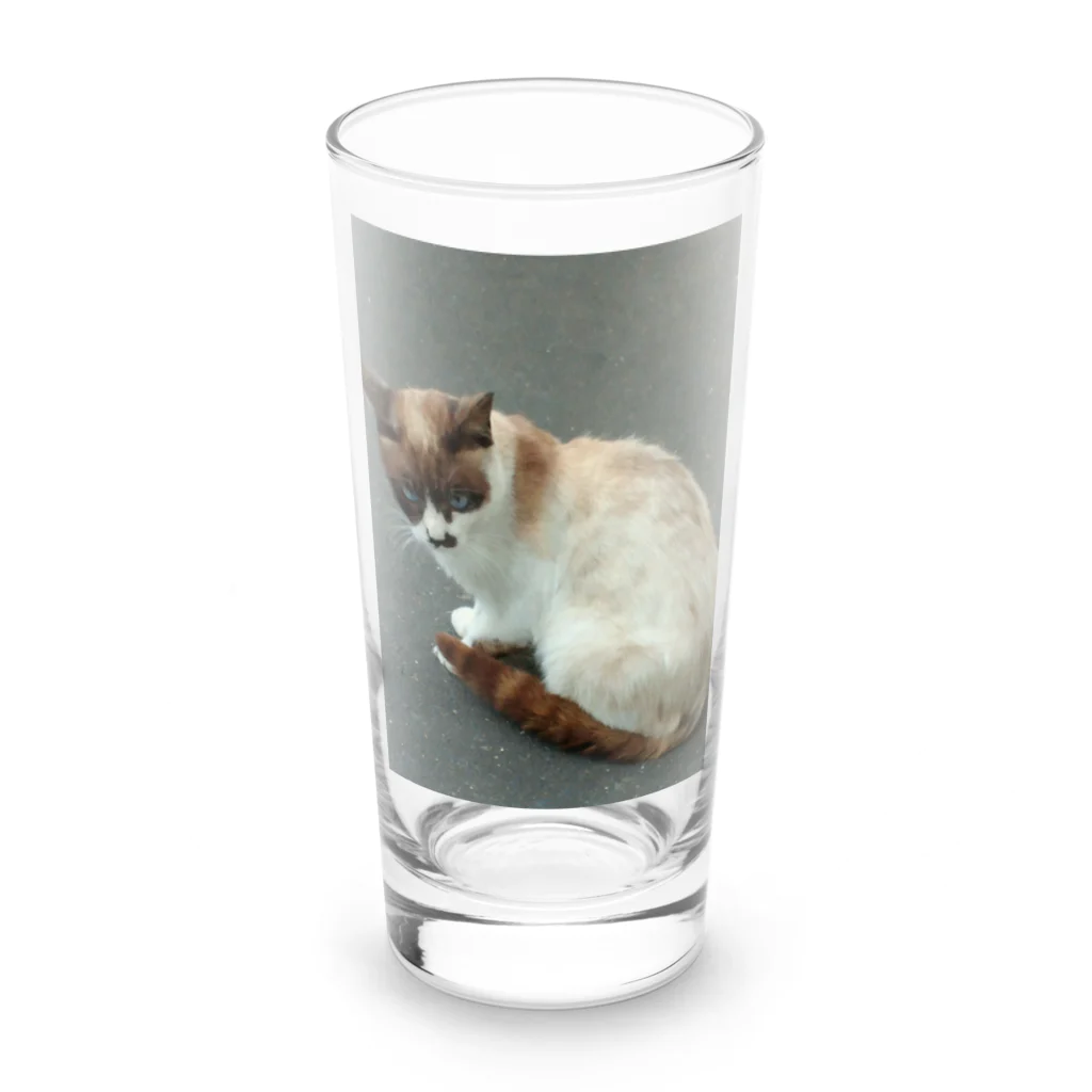 空屋　sorayakusakaの201408161744000　焦げ目の猫 Long Sized Water Glass :front
