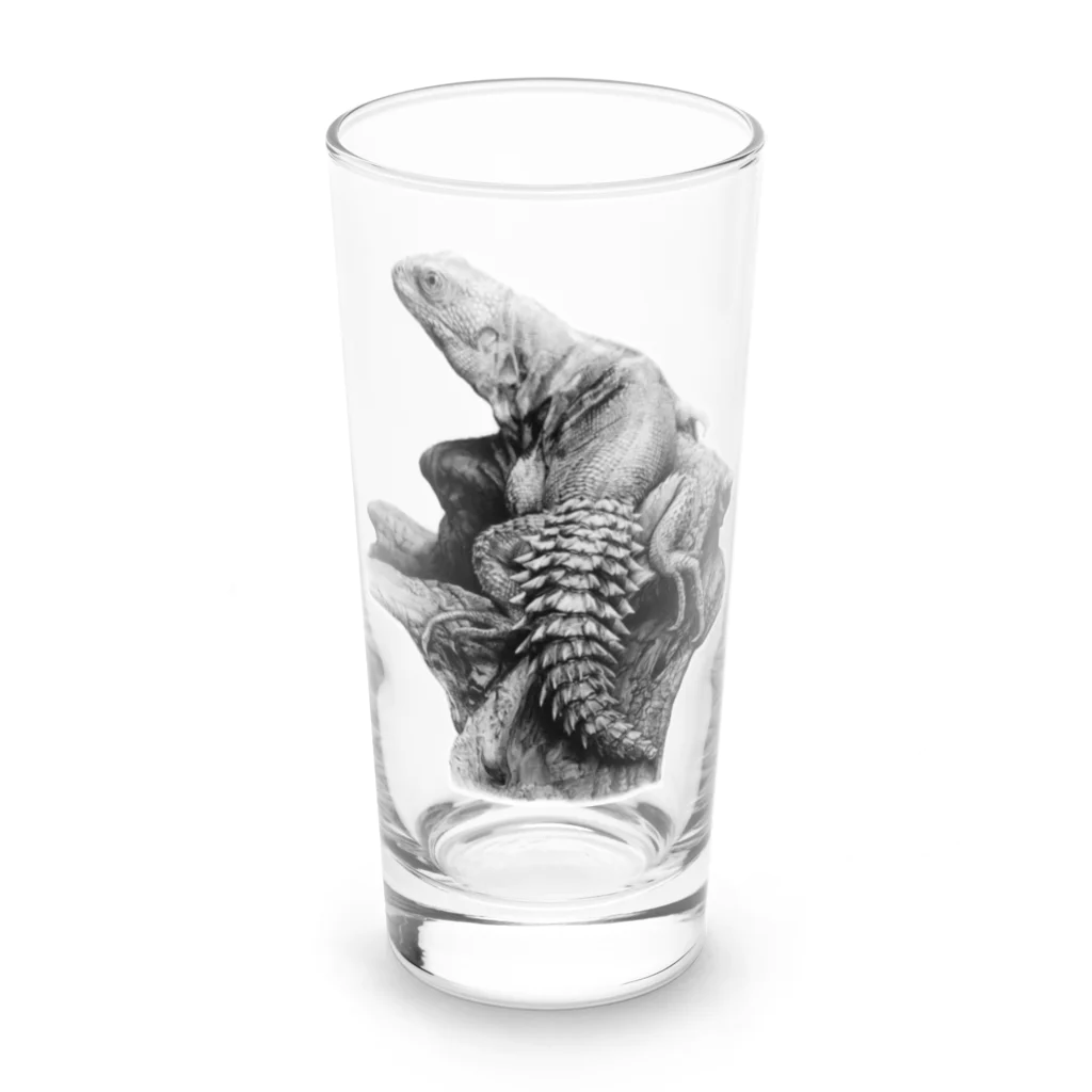 Pencil reptiles | 鉛筆の爬虫類達のユカタントゲオイグアナ | Ctenosaura defensor Long Sized Water Glass :front